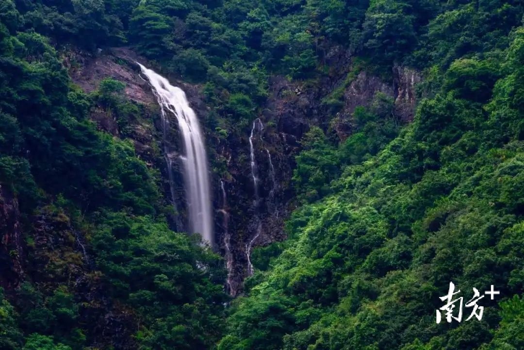 暑期来东莞山林，解锁清凉密码→