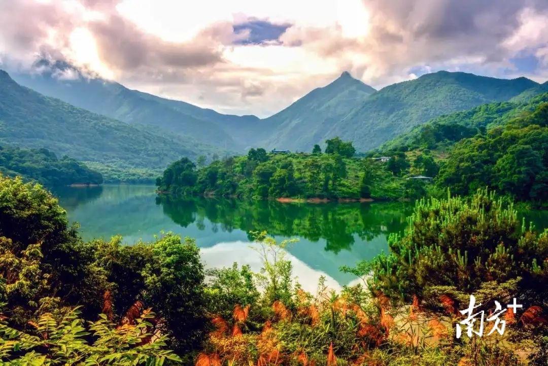 暑期来东莞山林，解锁清凉密码→
