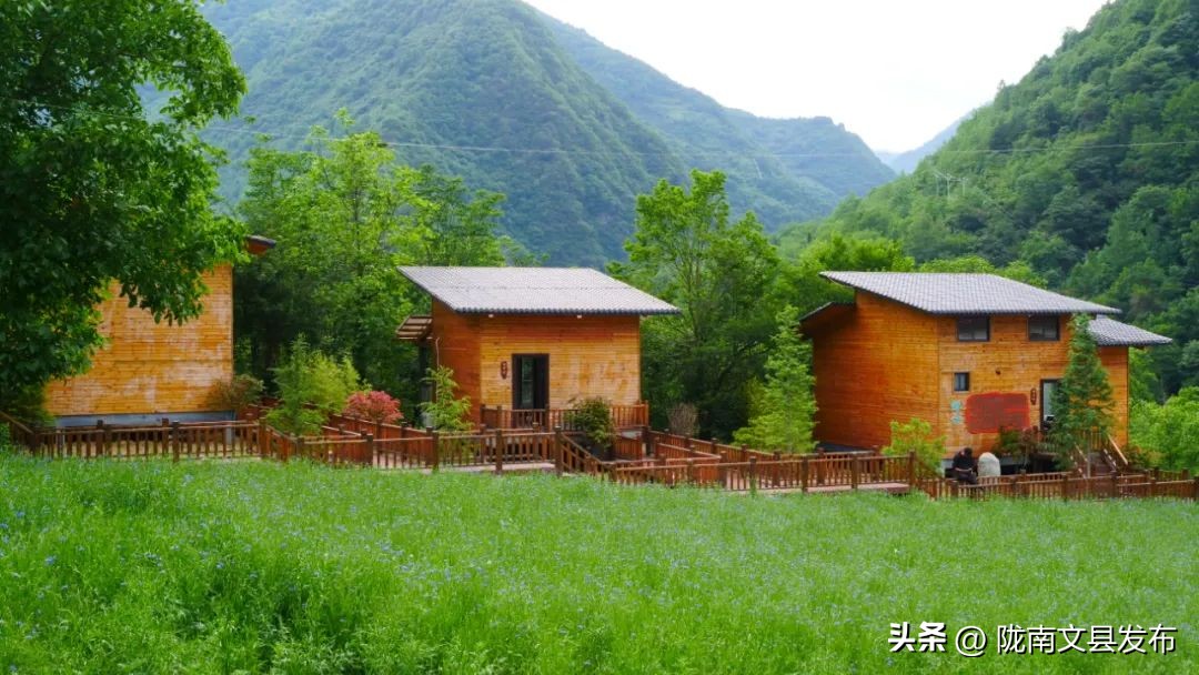 文县寨科桥村：花海民宿迎客，“龢合”文化凝心，共绘民族团结振兴画卷