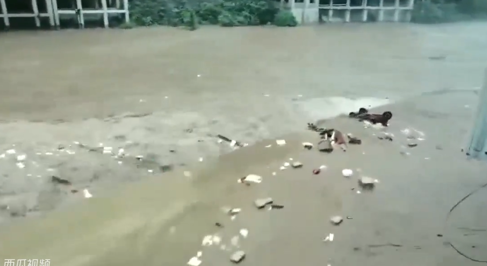 云南彝良县强降雨致局地内涝塌方：河水上涨涌入街道，车辆被冲走，农田被淹